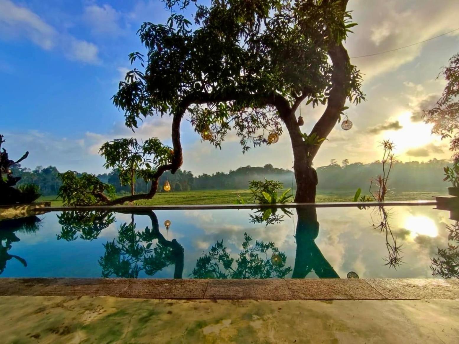 גאלה Villa Seven Faces-Luxury Escape,Stunning Views With Private Pool For A Couple Or Family! מראה חיצוני תמונה